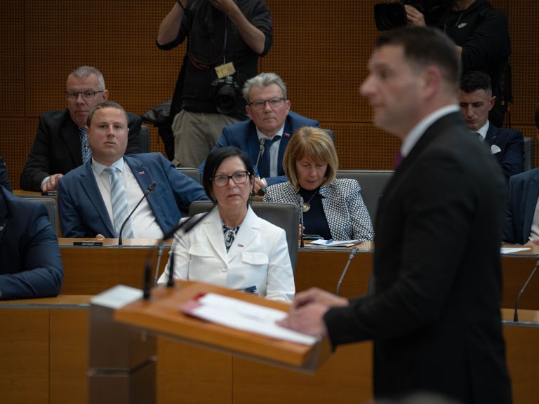 drzavni-zbor, poslanci