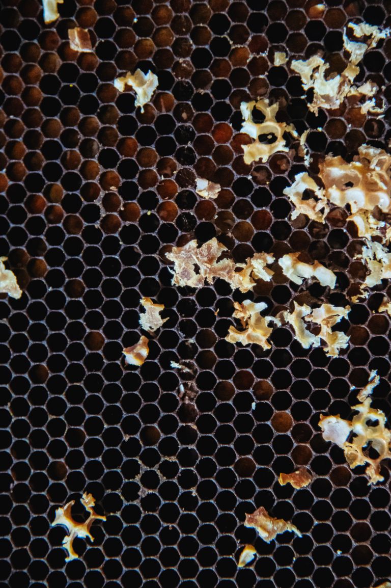 simbolična, čebele, čebela, med, satovje, čebelji-panj, hexagon