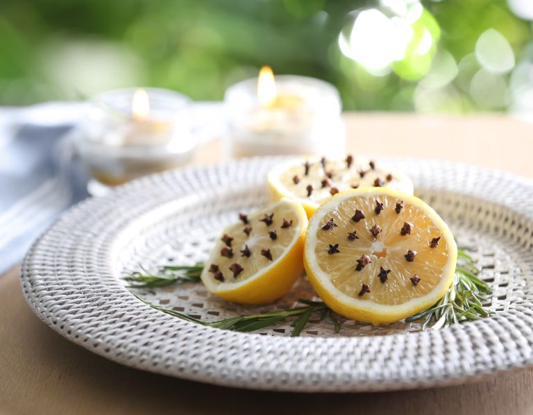 repelent, insekti, komarji