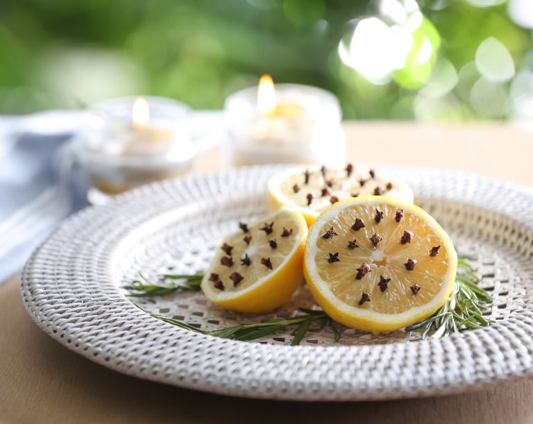 citrusi, limona, komarnik