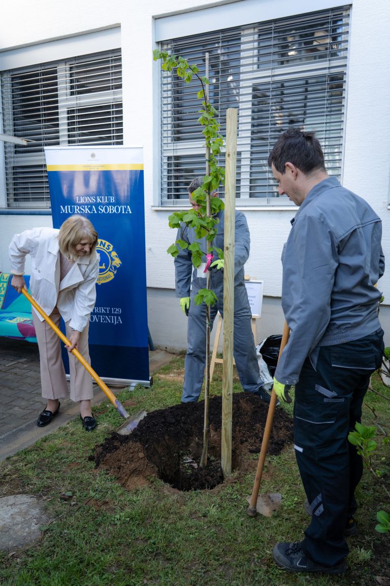 zasaditev-lipe, vdc-murska-sobota, lions-klub-murska-sobota