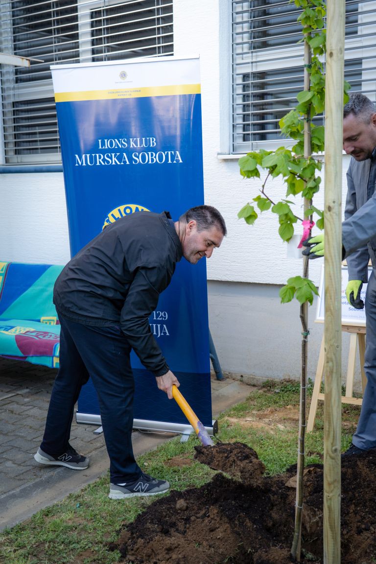 zasaditev-lipe, vdc-murska-sobota, lions-klub-murska-sobota