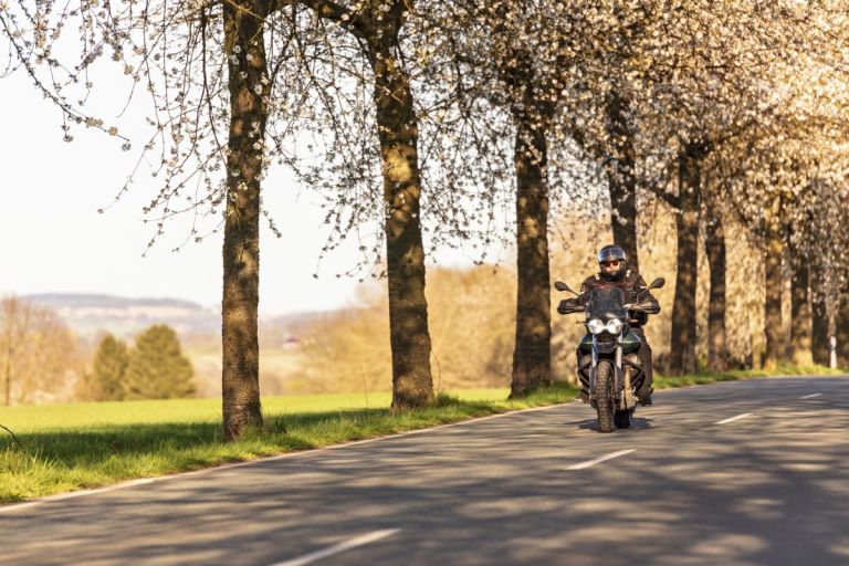 motoristična sezona, zavarovalnica triglav