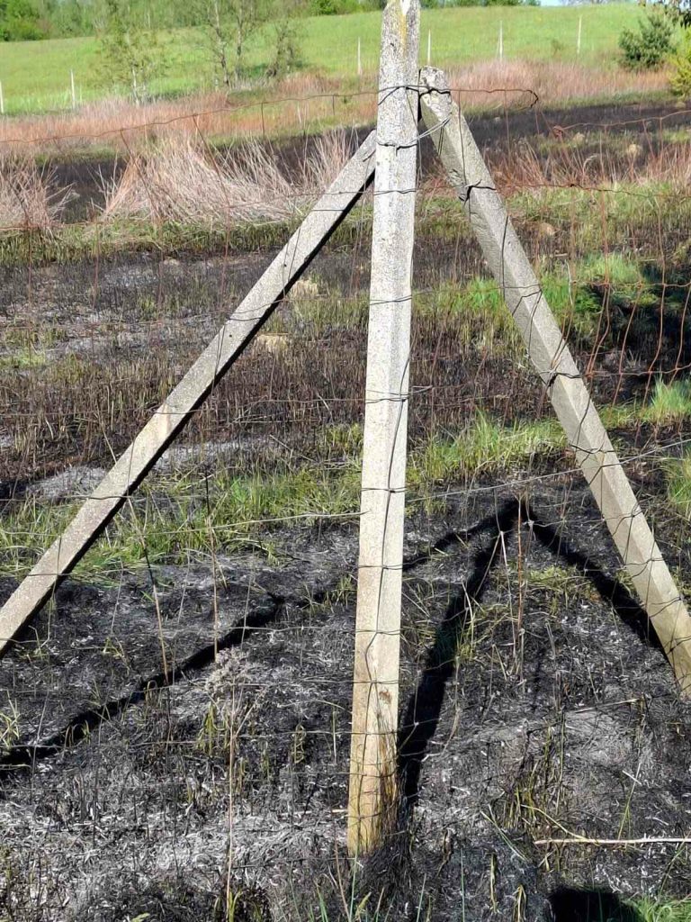 pozar, gasilci, intervencija