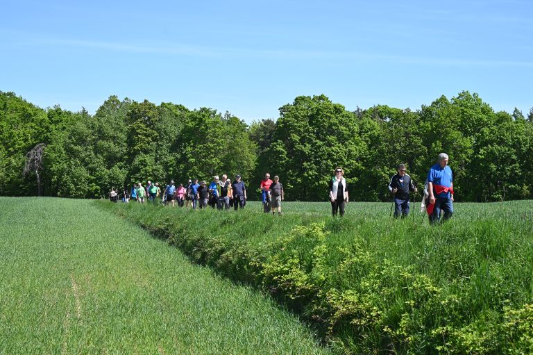 pohod-po-mocvari, loncarovci