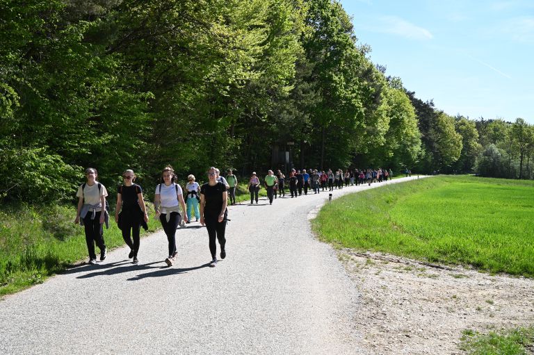 ks-loncarovci, pohod-po-mocvari