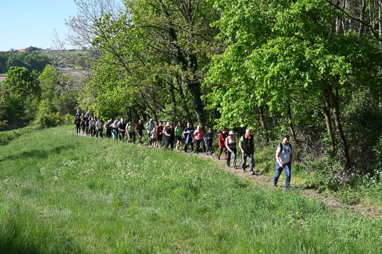 pohod-po-mocvari, loncarovci