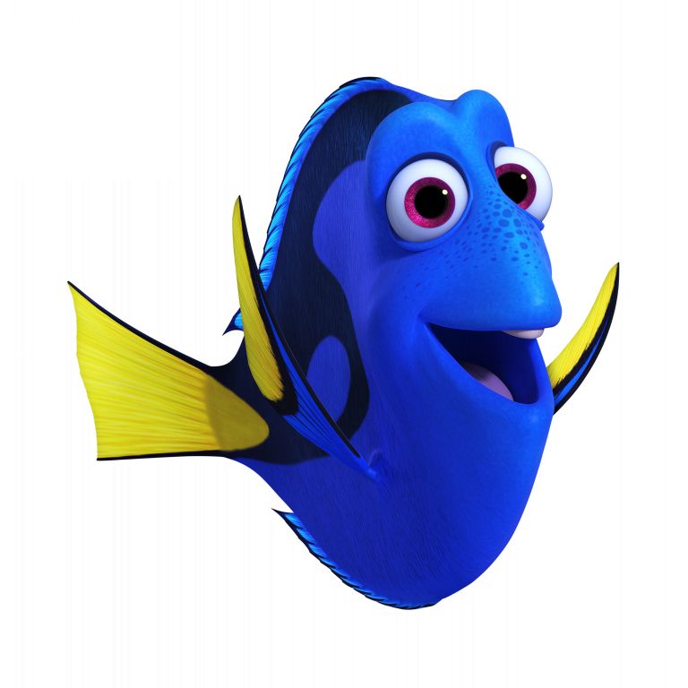 V nadaljevanju Finding Dory se Ellen DeGeneres kot Dory poda na čustveno in zabavno iskanje lastne preteklosti.