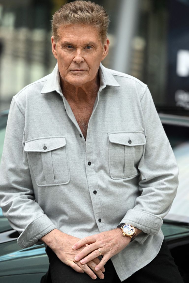 david hasselhoff.jpg
