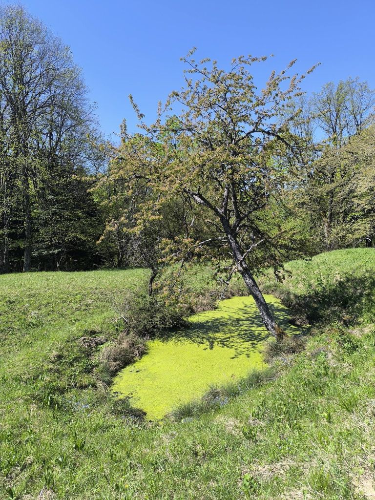 suha-krajina, kocevarske-vasi