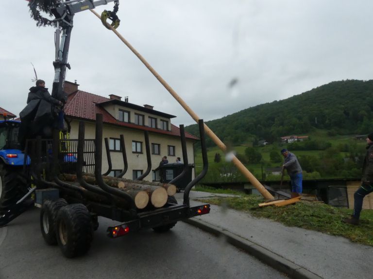 prvomajski-mlaj, senovo
