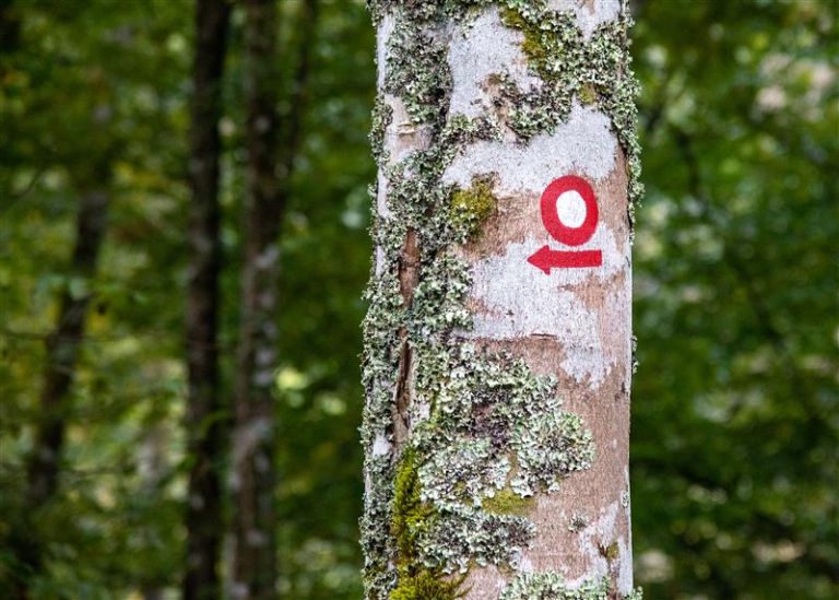 Foto Jure Eržen.jpg