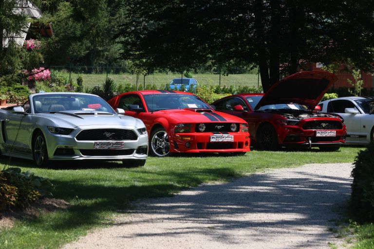 Mustang 5.jpg