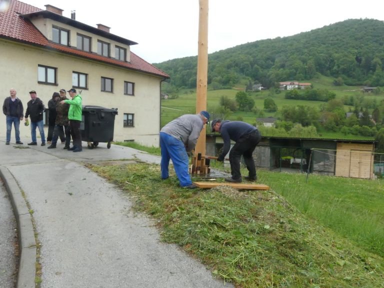 prvomajski-mlaj, senovo