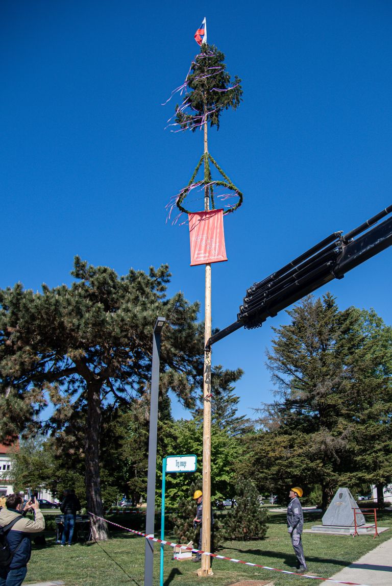 postavljanje-mlaja, trg-zmage, murska-sobota, praznik-dela