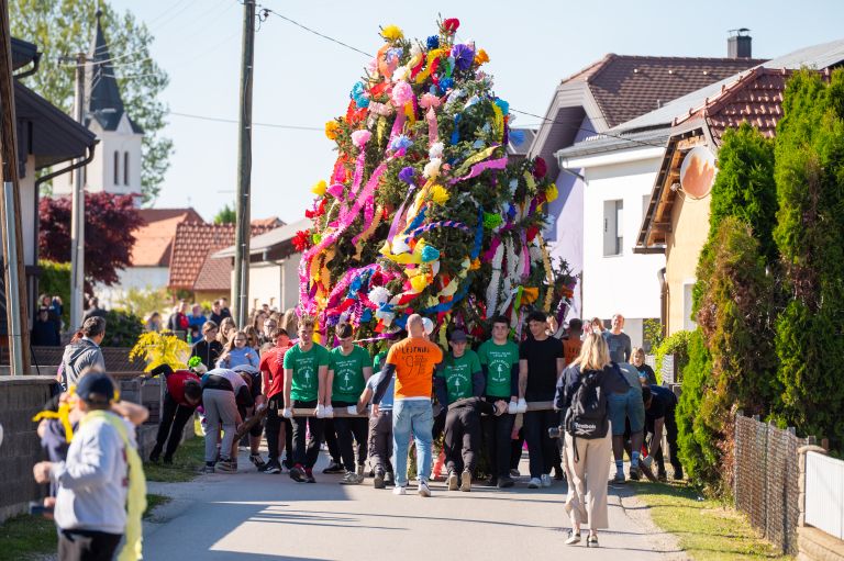 gancki-majos, 107-gancki-majos, gancani, tradicija, mlaj
