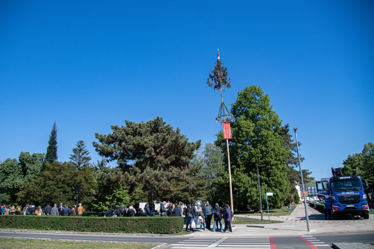 postavljanje-mlaja, trg-zmage, murska-sobota, praznik-dela