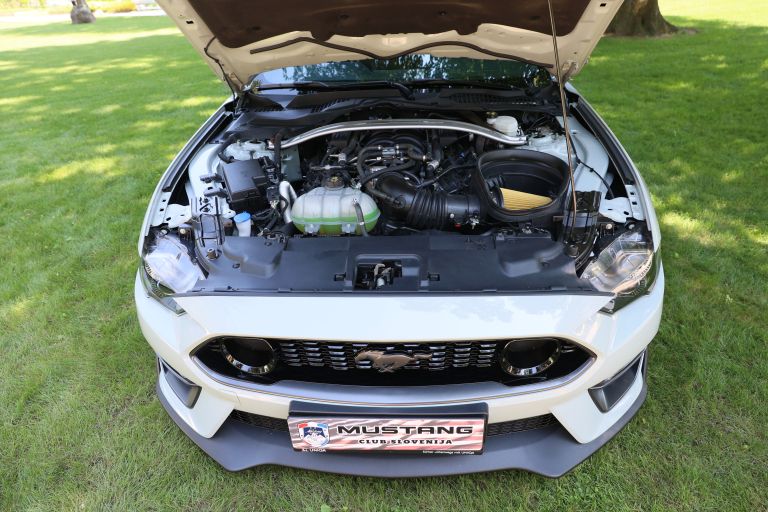 Mustang 1.jpg