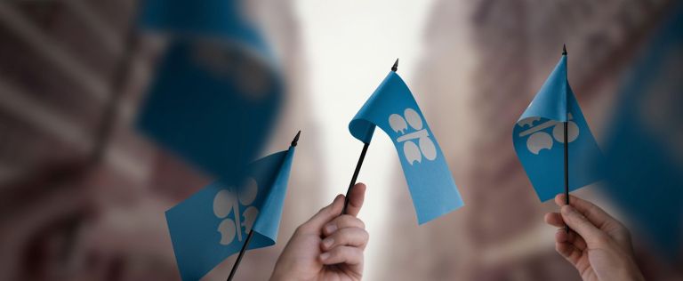 opec, zastavice.jpg