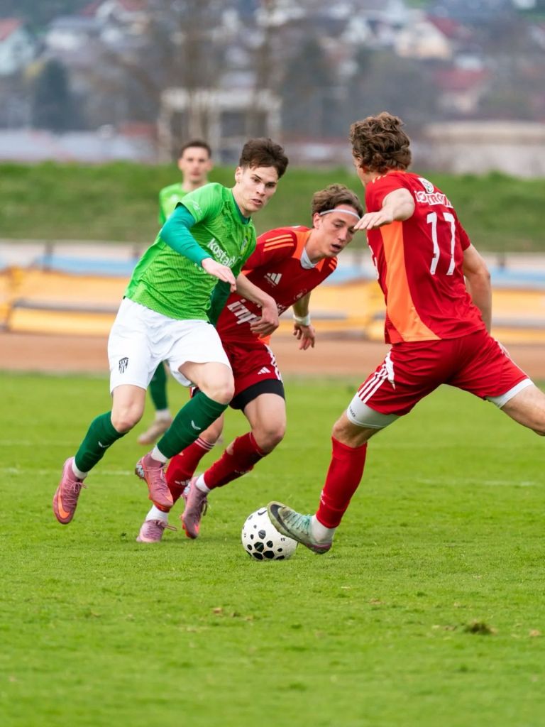 krsko slovan 2.jpg