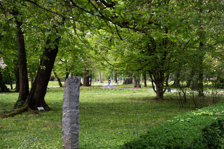 simbolična, park, narava, grad, raca, račke, račka