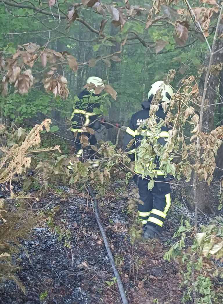 pgd šentrupert.jpg