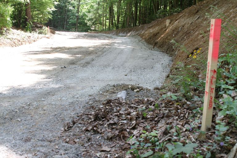trebce, cesta