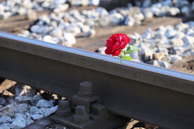 goranh-red-rose-on-rail-track-2781118.jpg