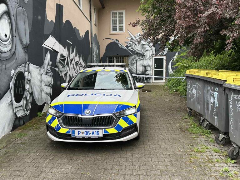 celovska-cesta, siska, napad, policija