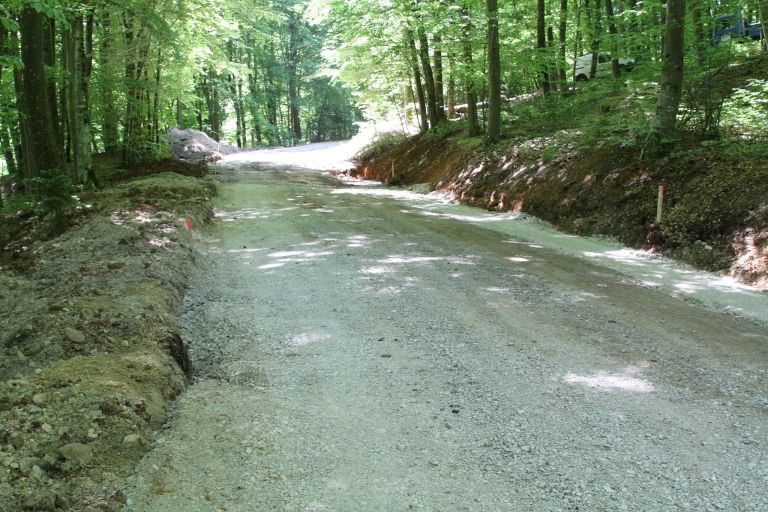trebce, cesta