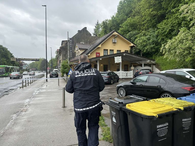 celovska-cesta, siska, napad, policija