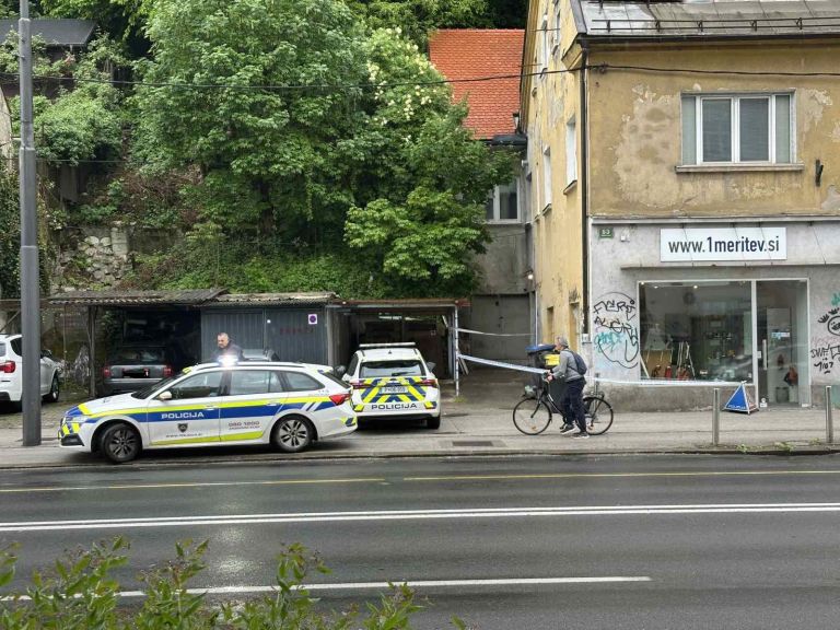 celovska-cesta, siska, napad, policija
