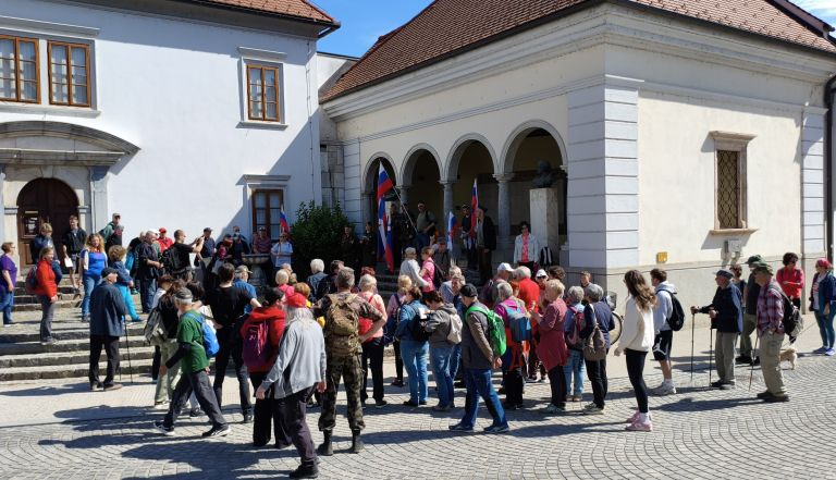 novo-mesto-v-zici