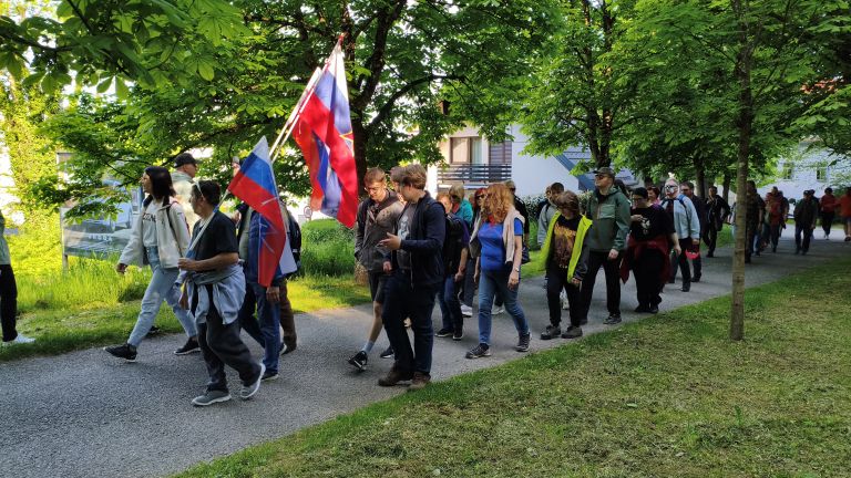 novo-mesto-v-zici