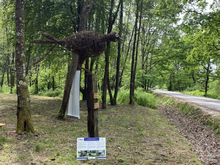 brezmejni-sejem, park-prijateljstva, zitkovci
