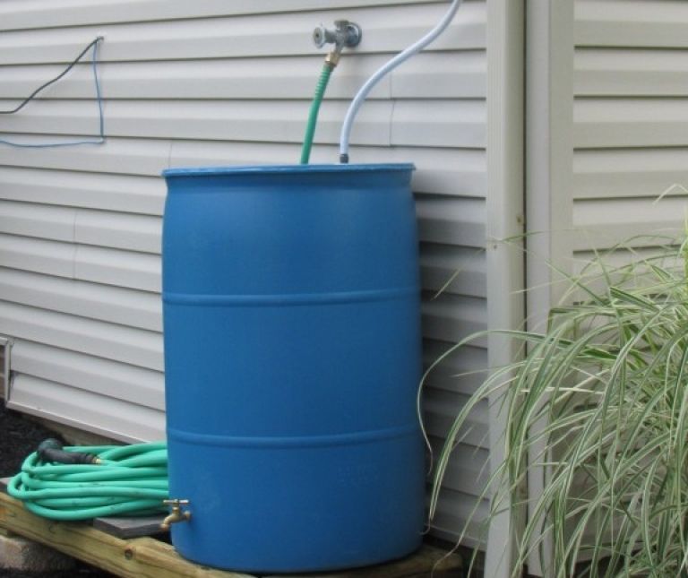 RainBarrel.jpg