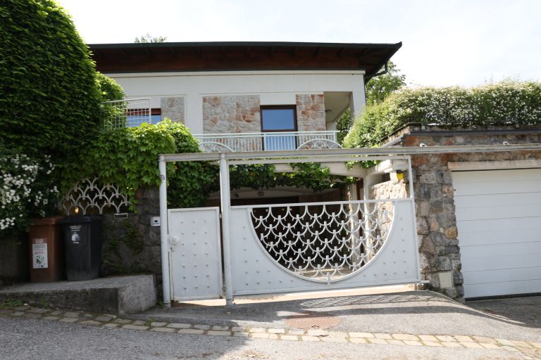 diana dimnik golovec vila.jpg