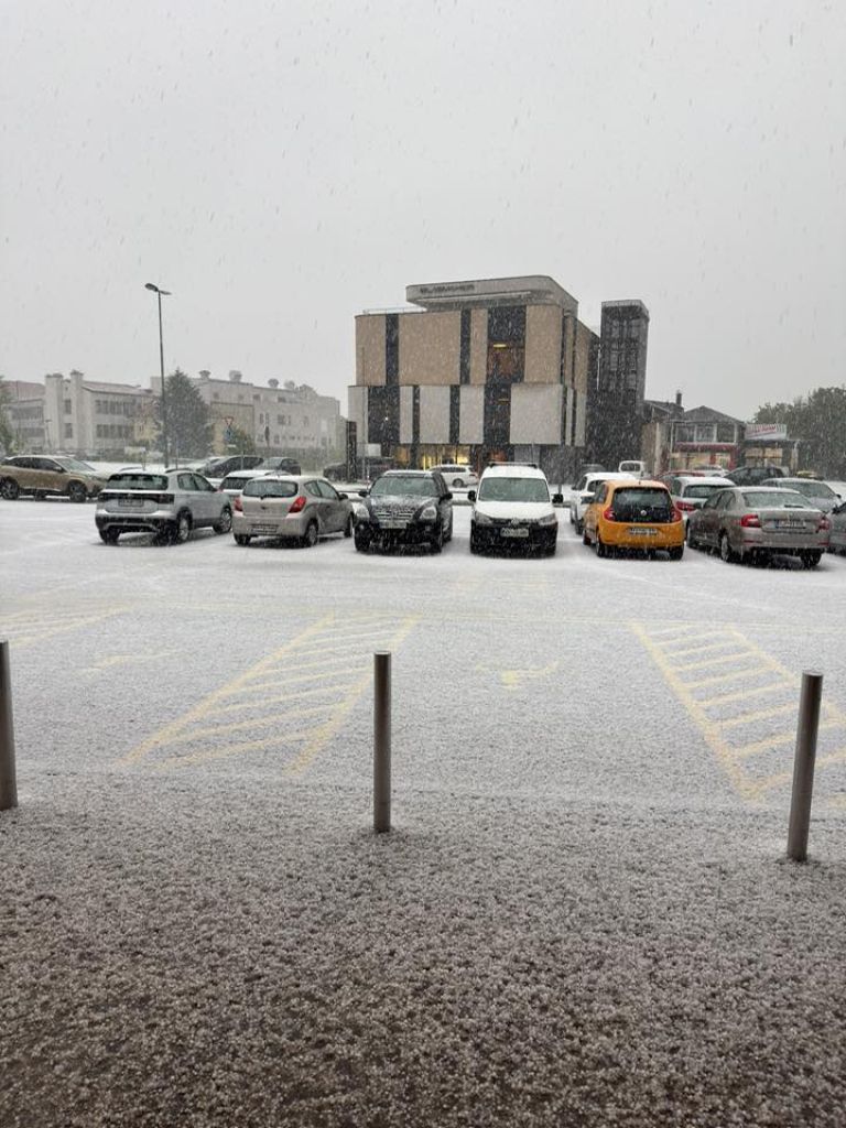 brezice.jpg