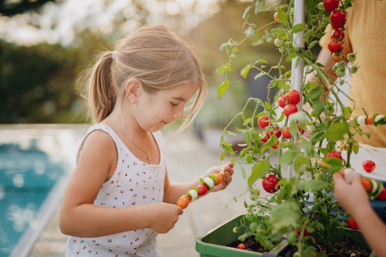 TOM TOMATO urbano vrtnarjenje