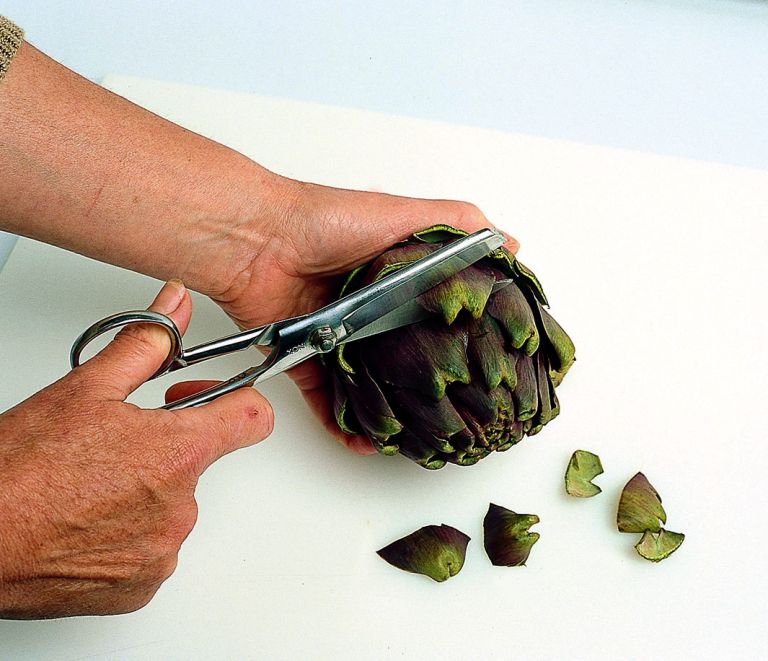 slika 2.jpg