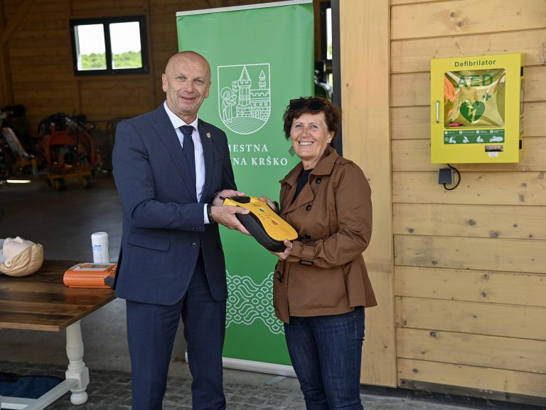 defibrilator, kostanjek