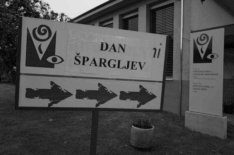 dan-spargljev