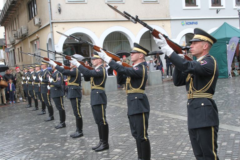 dan-slovenske-vojske