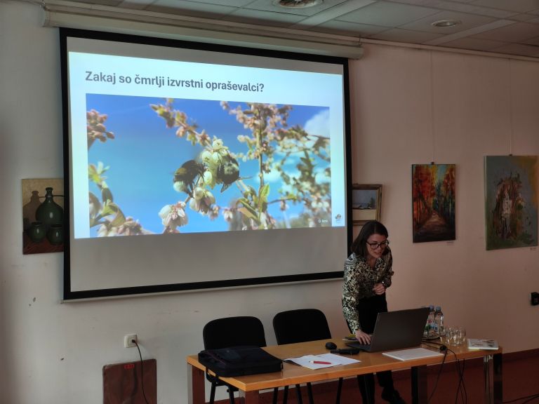 beeaware, raziskovanje-oprasevalcev-s-pomocjo-obcanske-znanosti, interreg