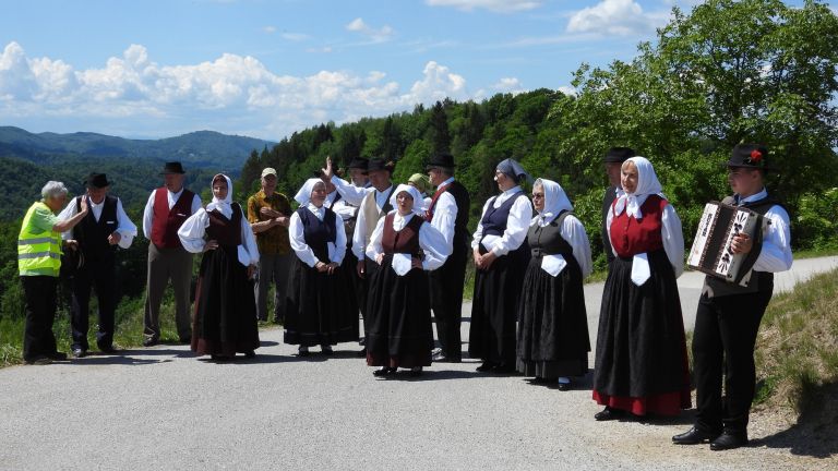 azaleja-na-vrhek