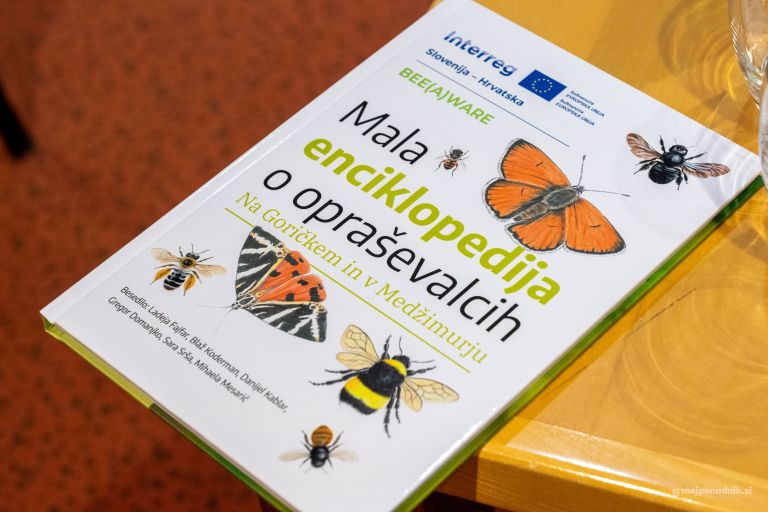 beeaware, interreg, raziskovanje-oprasevalcev-s-pomocjo-obcanske-znanosti