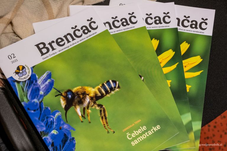 beeaware, interreg, raziskovanje-oprasevalcev-s-pomocjo-obcanske-znanosti