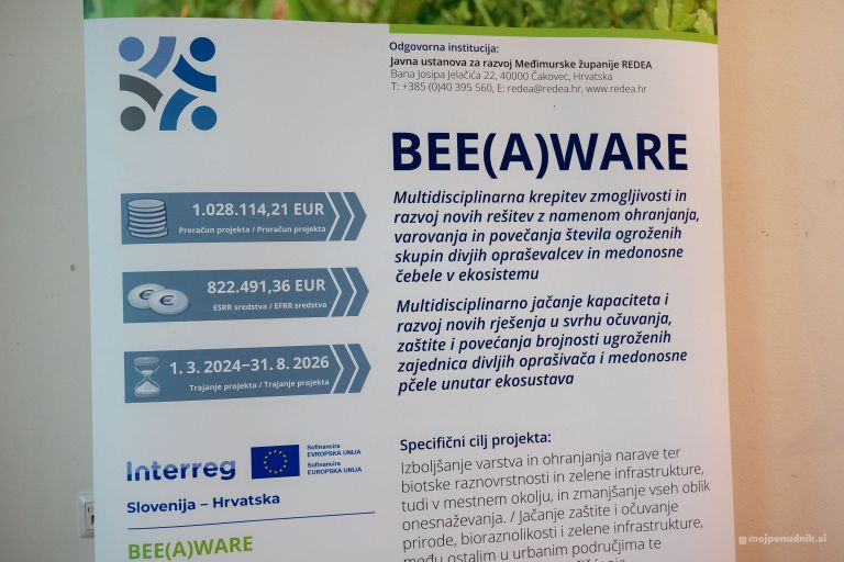 beeaware, interreg, raziskovanje-oprasevalcev-s-pomocjo-obcanske-znanosti