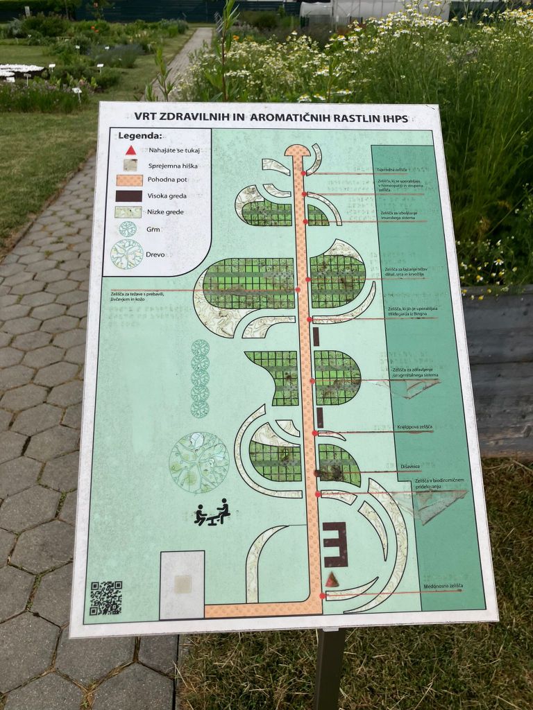 ihps, vrt-zdravilnih-in-aromaticnih-rastlin