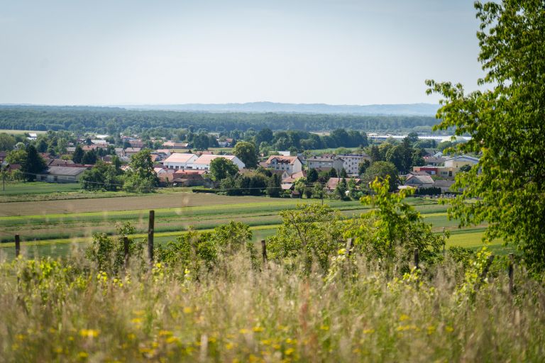 marjan-kardinar, občina-dobrovnik